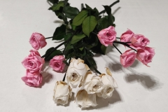 ROSE - 5 BLOSSOMS