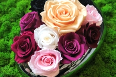 ROSE BLOSSOM M and XL