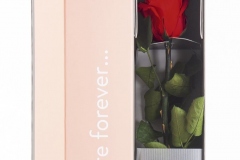 V-ROSE RED